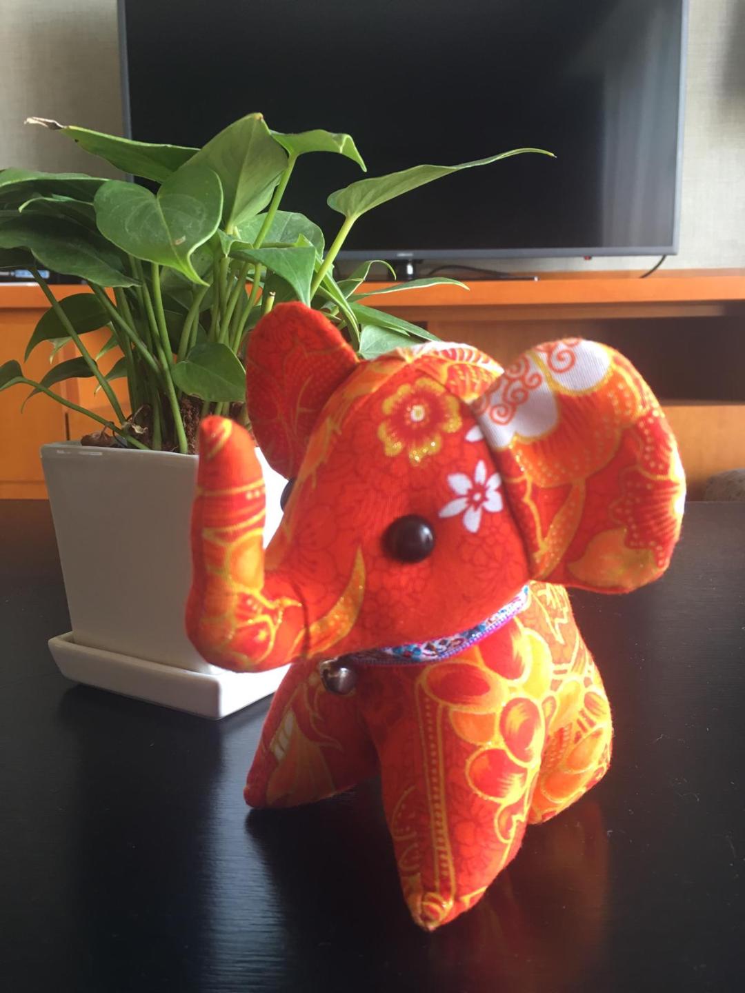 Getting to Know Thailand Miss Supranational Official Website